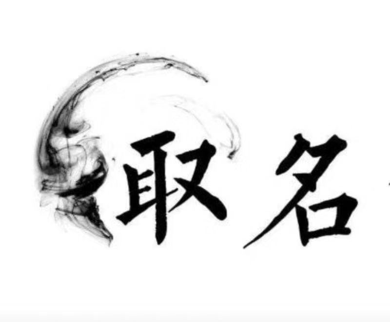  君山宝宝取名 大师一对一人工起名